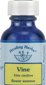 Flower Essence Healing Herbs™ Vine Dropper -- 1 fl oz