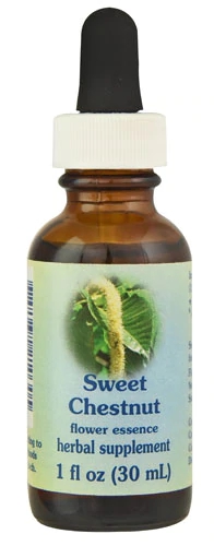 Comprar Flower Essence Sweet Chestnut Supplement Dropper -- 1 fl oz