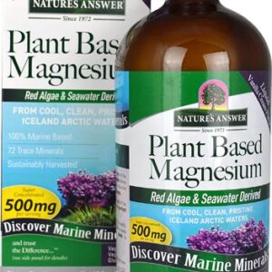 Nature's Answer Plant Based Magnesium Liquid Vanilla Cream -- 500 mg - 16 fl oz