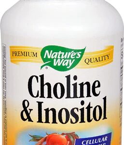 Comprar Nature's Way Choline & Inositol -- 100 Capsules
