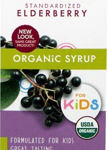 Nature's Way Organic Sambucus for Kids Syrup -- 4 fl oz