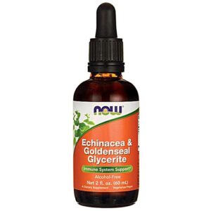 NOW Foods Echinacea & Goldenseal Glycerite Alcohol Free -- 2 fl oz