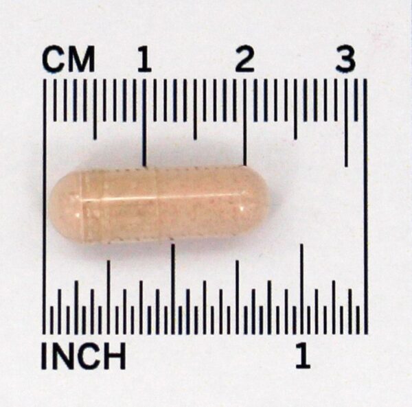 Comprar Pueraria Mirifica Suporte Contra Sintomas da Menopausa - Cápsulas vegetarianas 60 Nature's Answer - Imagem 5