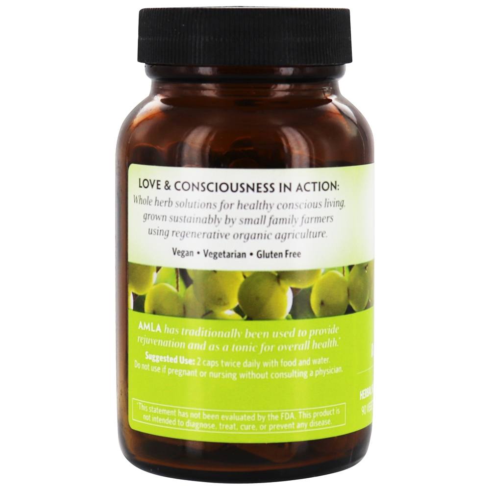 Comprar Superfruta Rejuvenescedora Amla Orgânica - Cápsulas vegetarianas 90 Organic India - Imagem 3