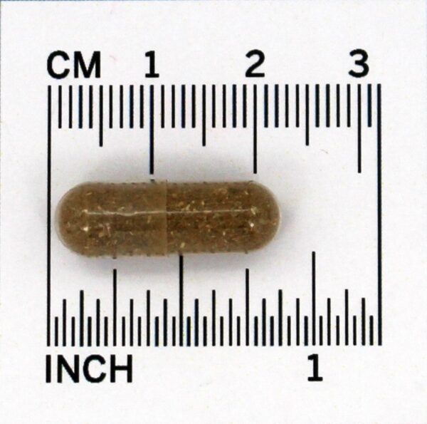 Comprar Cuidados com os rins do fígado desintoxicar e rejuvenescer - Cápsulas vegetarianas 90 Organic India - Imagem 4