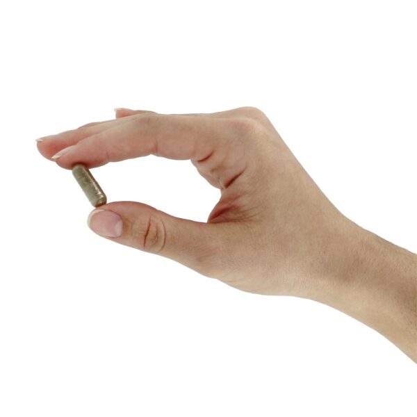 Comprar Cuidados com os rins do fígado desintoxicar e rejuvenescer - Cápsulas vegetarianas 90 Organic India - Imagem 5