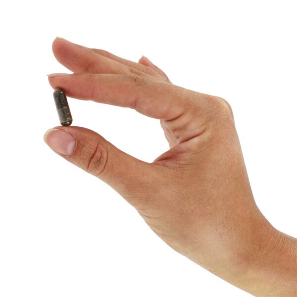 Comprar LiverCare Para a Manutenção da Saúde do Fígado - Cápsulas vegetarianas 180 Himalaya Herbal Healthcare - Imagem 6