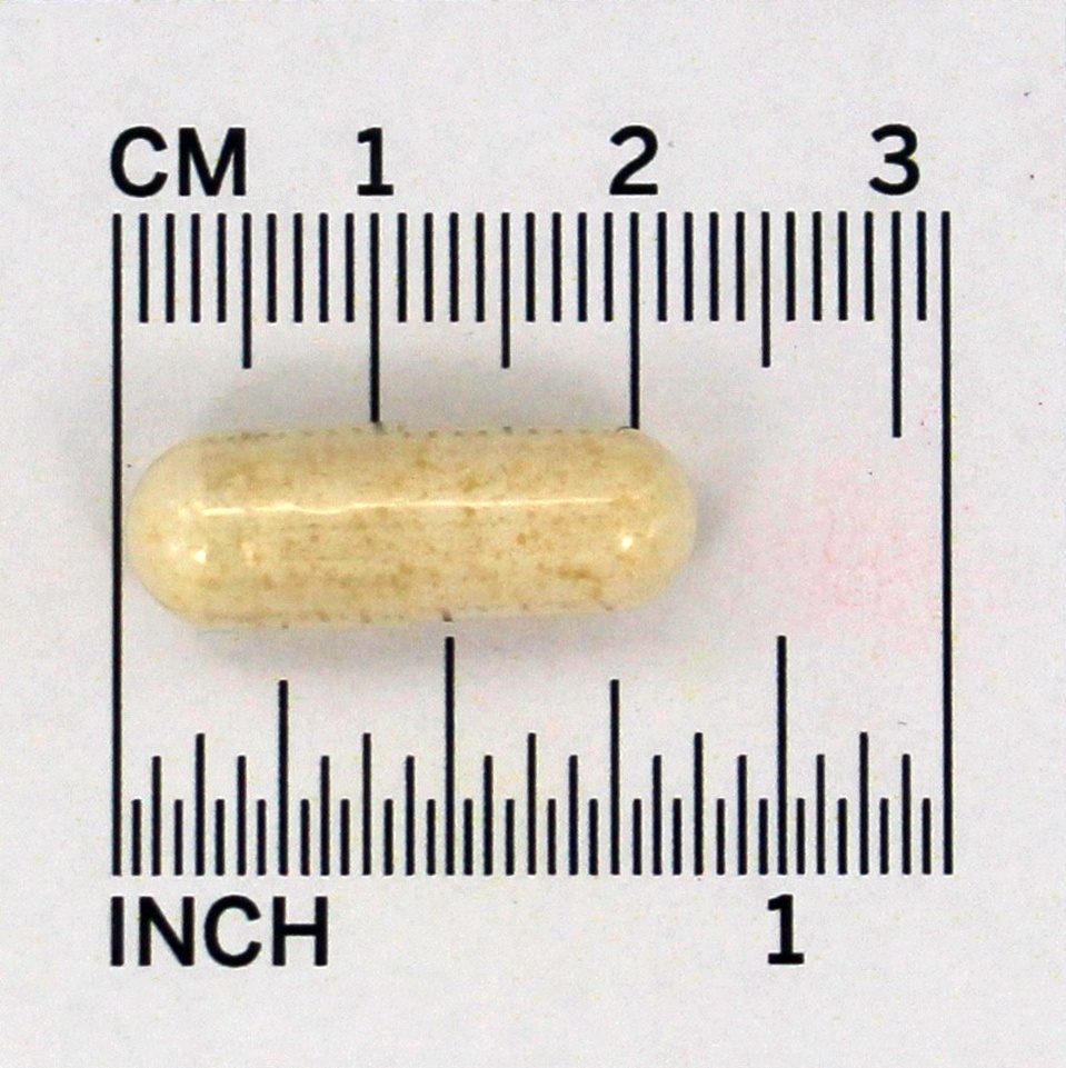 Comprar Florajen Probióticos de Alta Potência Acidophilus - Cápsulas 60 Florajen - Imagem 4