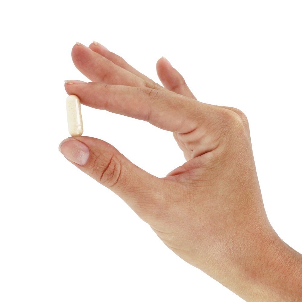 Comprar Florajen Probióticos de Alta Potência Acidophilus - Cápsulas 60 Florajen - Imagem 5