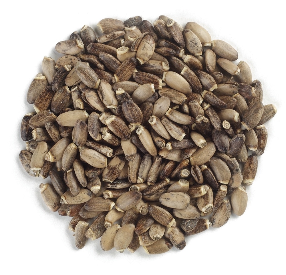 Comprar Cardo De Leite Sementes Orgânicas Integrais - 1 lb. Frontier Natural Products