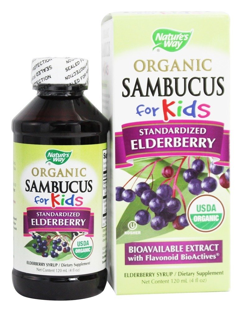 Comprar Sambucus Orgânico para Crianças Sabugueiro Xarope - 4 fl. oz. Nature's Way