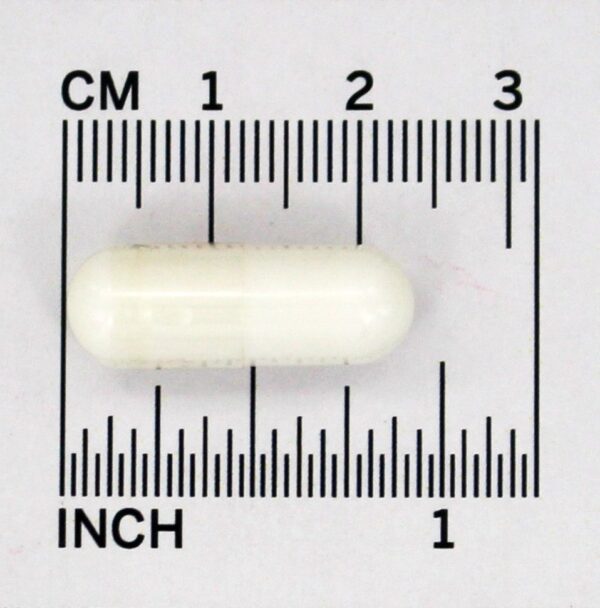 Comprar Taurina Potência Dupla 1000 mg. - Cápsulas 250 NOW Foods - Imagem 4