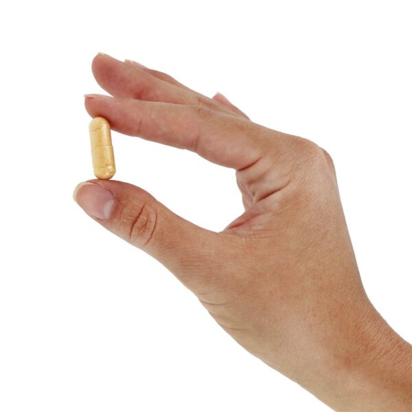 Comprar Fitosoma de Curcumina com Meriva 500 mg. - Cápsulas vegetarianas 180 Doctor's Best - Imagem 5