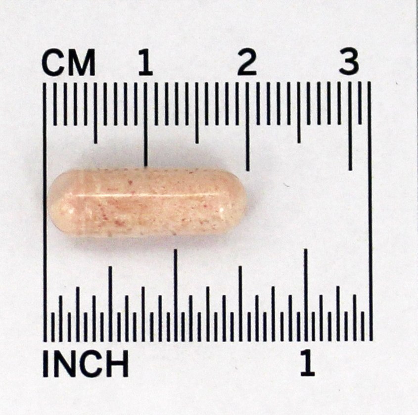 Comprar Probiótico-10 25 Bilhões de UFC - Cápsulas NOW Foods 50 NOW Foods - Imagem 4