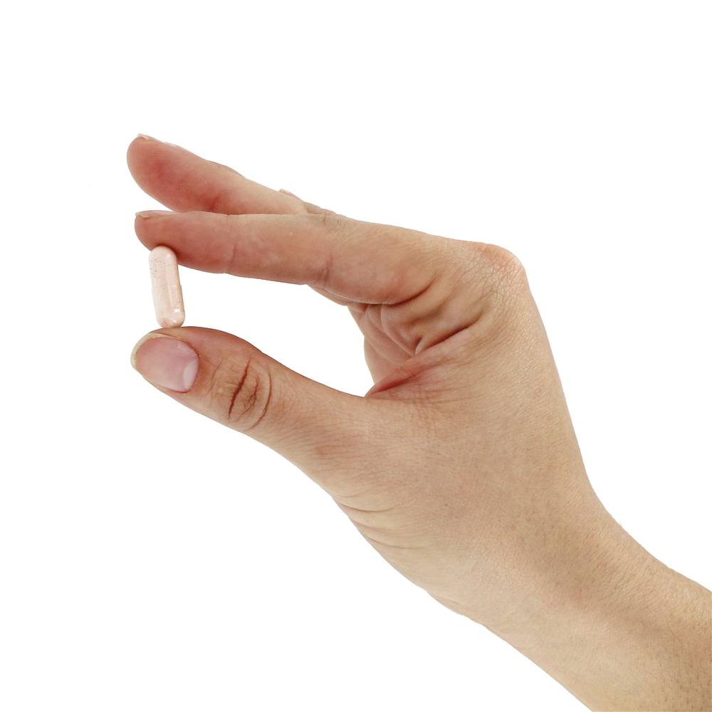 Comprar Probiótico-10 25 Bilhões de UFC - Cápsulas NOW Foods 50 NOW Foods - Imagem 5