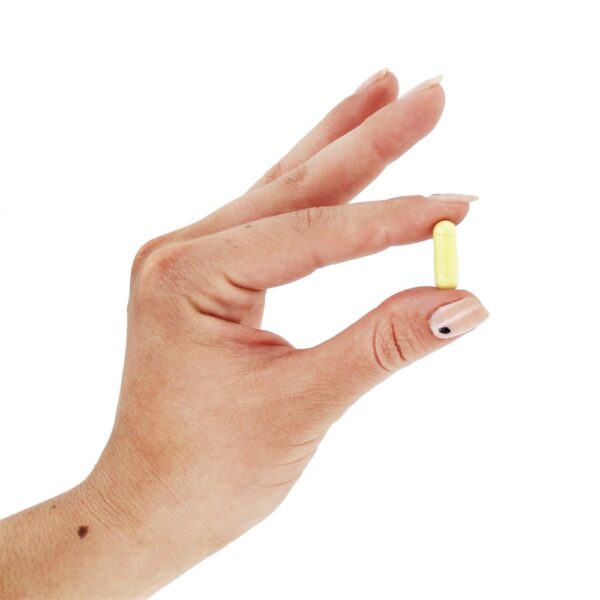 Comprar Fisetin com Novusetin - Cápsulas vegetarianas 30 Doctor's Best - Imagem 5