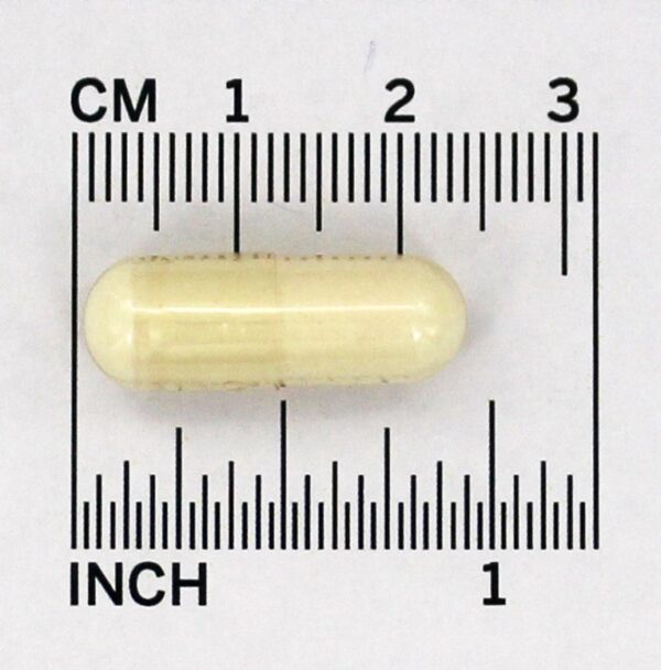 Comprar BioCell Collagen Cuidados Para a Articulação e Pele - Cápsulas 120 Health Logics - Imagem 4