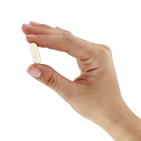 Comprar BioCell Collagen Cuidados Para a Articulação e Pele - Cápsulas 120 Health Logics - Imagem 5