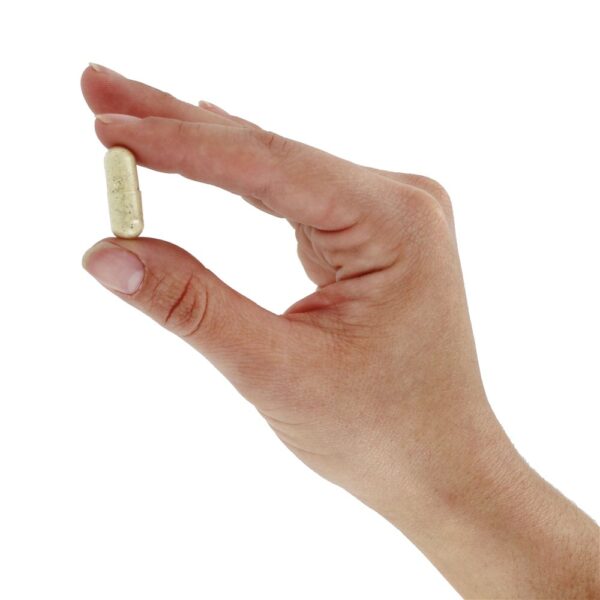 Comprar BroccoMax - Cápsulas vegetarianas 120 Jarrow Formulas - Imagem 5