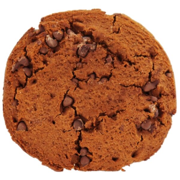 Comprar Deliciosamente Cozido Proteína Biscoito Dobrar Chocolate - 3.53 oz. NuGo Nutrition - Imagem 4