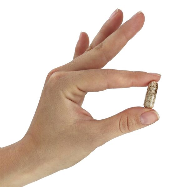 Comprar NOW Solutions Cabelo, Pele e Unhas Veganos - 90 Cápsula (s) vegetal (s) NOW Foods - Imagem 5