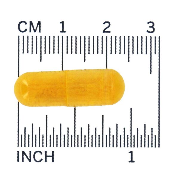 Comprar Curcumina do extrato da raiz de açafrão 665 mg . - 120 Cápsula (s) vegetal (s) NOW Foods - Imagem 4