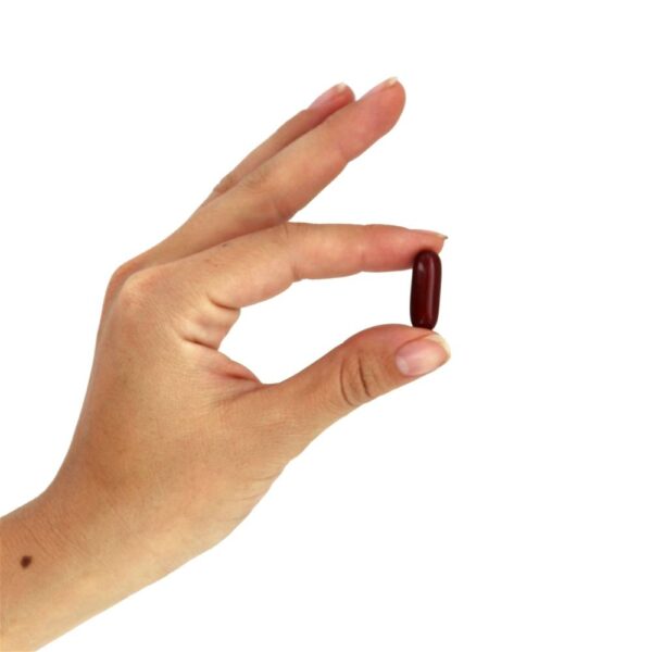 Comprar CoQ10 com Omega - 3 Óleo de Peixe 60 mg . - 60 Softgels NOW Foods - Imagem 5