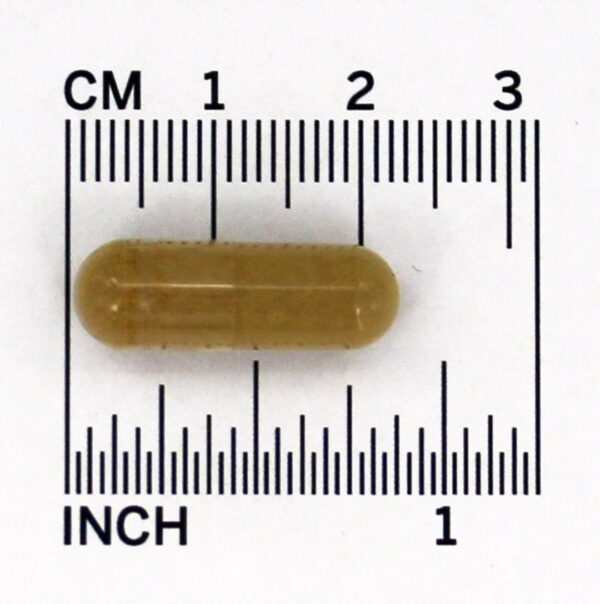 Comprar Cascara Sagrada 450 mg. - 100 Cápsula (s) vegetal (s) NOW Foods - Imagem 4