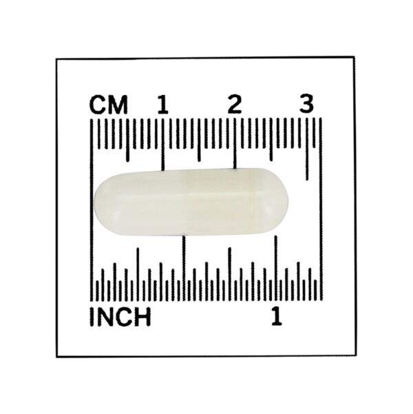 Comprar NOW Sports L-Glutamina 1000 mg . - 240 Cápsula (s) vegetal (s) NOW Foods - Imagem 4