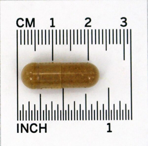 Comprar Raiz de alcaçuz 450 mg. - Cápsulas 100 NOW Foods - Imagem 4