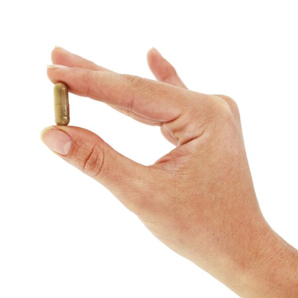 Comprar Raiz de alcaçuz 450 mg. - Cápsulas 100 NOW Foods - Imagem 5