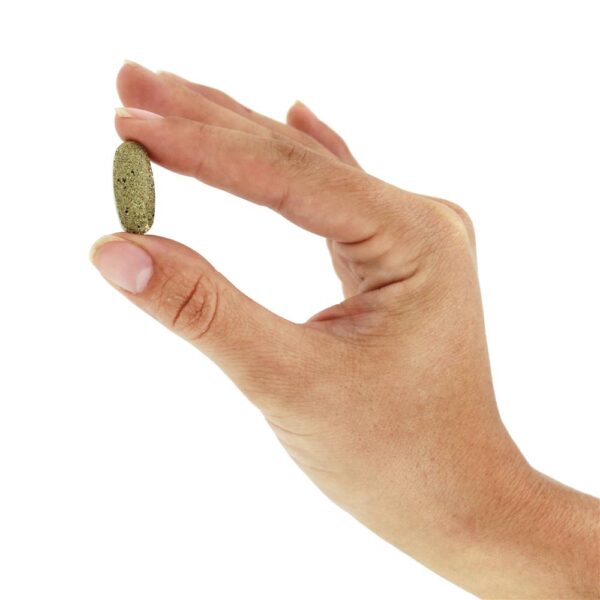 Comprar Multivitamínico Saúde Ativa Para Adolescentes - 90 Tablets Rainbow Light - Imagem 5