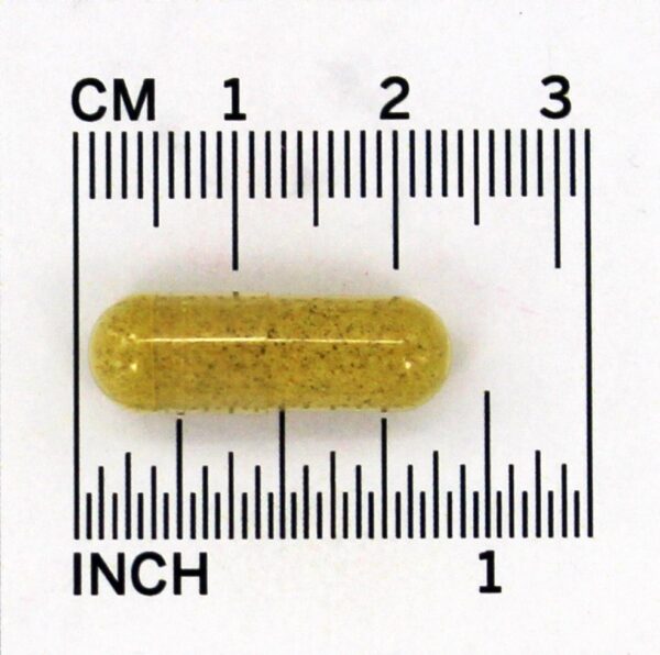 Comprar Sistema Enzimático Avançado - Cápsulas vegetarianas 180 Rainbow Light - Imagem 4