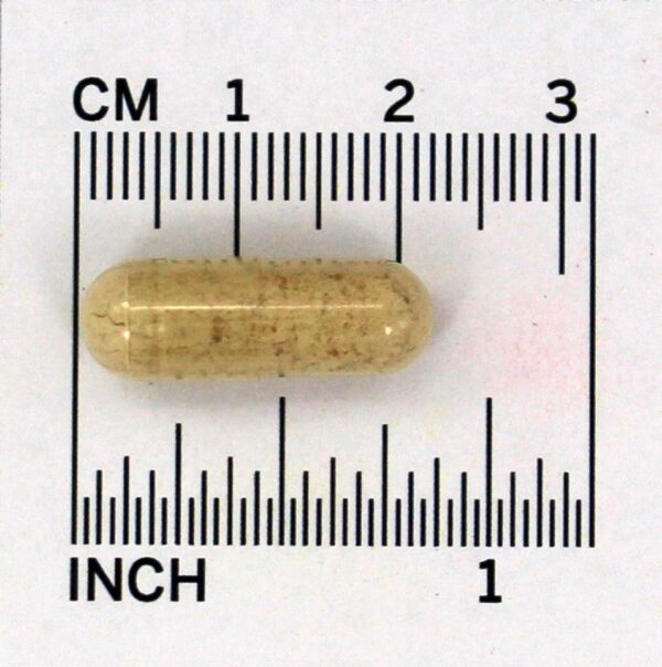 Comprar Ginseng Vermelho Coreano 518 mg. - Cápsulas 50 Prince of Peace - Imagem 4