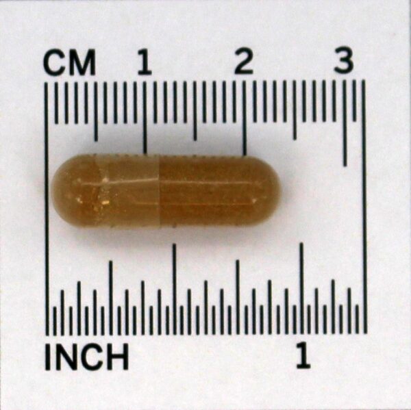 Comprar Extrato de astrágalo 500 mg. - 90 Cápsula (s) vegetal (s) NOW Foods - Imagem 4