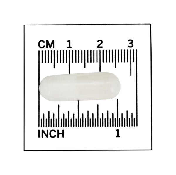 Comprar MSM 1000 mg. - 120 Cápsula (s) vegetal (s) NOW Foods - Imagem 4