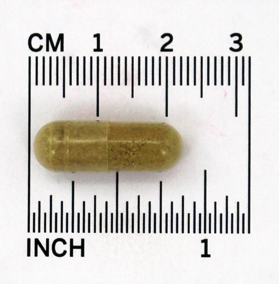 Comprar Extrato Padronizado de Folha de Oliveira - Cápsulas 60 Nature's Way - Imagem 4