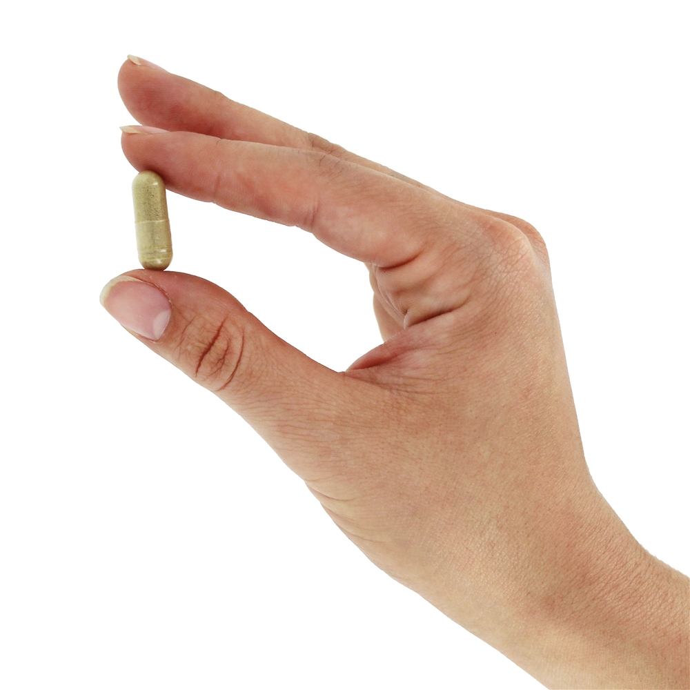 Comprar Extrato Padronizado de Folha de Oliveira - Cápsulas 60 Nature's Way - Imagem 5