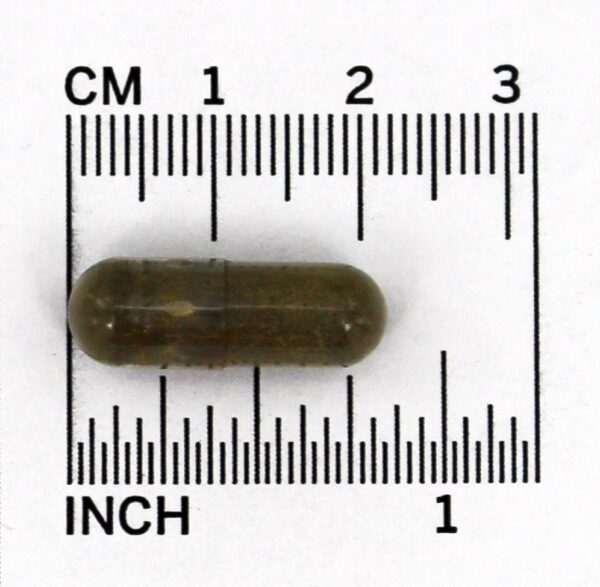 Comprar Complexo de Mirtilo 80 mg. - Cápsulas 100 NOW Foods - Imagem 4