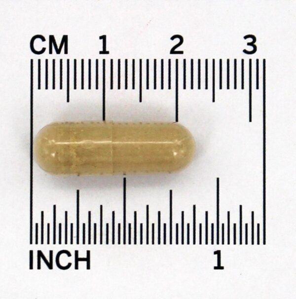 Comprar Beta 1,3 / 1,6 D Glucan 100 mg. - Cápsulas vegetarianas 90 NOW Foods - Imagem 4