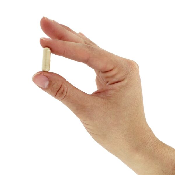 Comprar Beta 1,3 / 1,6 D Glucan 100 mg. - Cápsulas vegetarianas 90 NOW Foods - Imagem 5