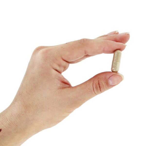 Comprar Vassoura de Carniceiro 470 mg. - Cápsulas vegetarianas 100 Nature's Way - Imagem 5