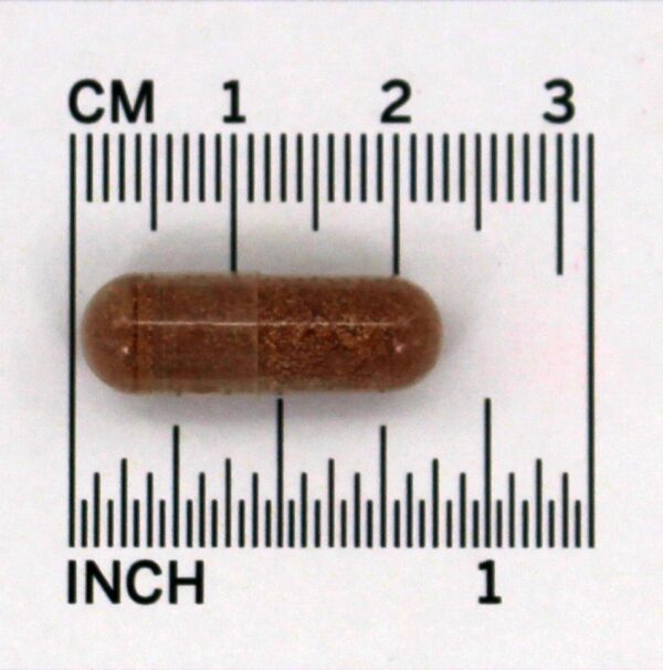 Comprar Resveratrol natural 50 mg . - 60 Cápsula (s) vegetal (s) NOW Foods - Imagem 4