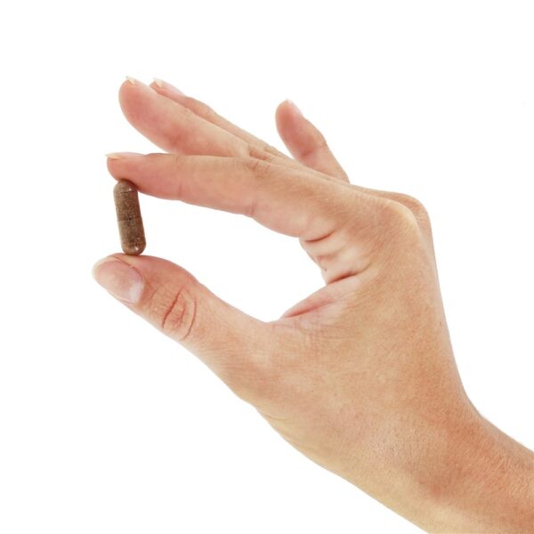 Comprar Resveratrol natural 50 mg . - 60 Cápsula (s) vegetal (s) NOW Foods - Imagem 5