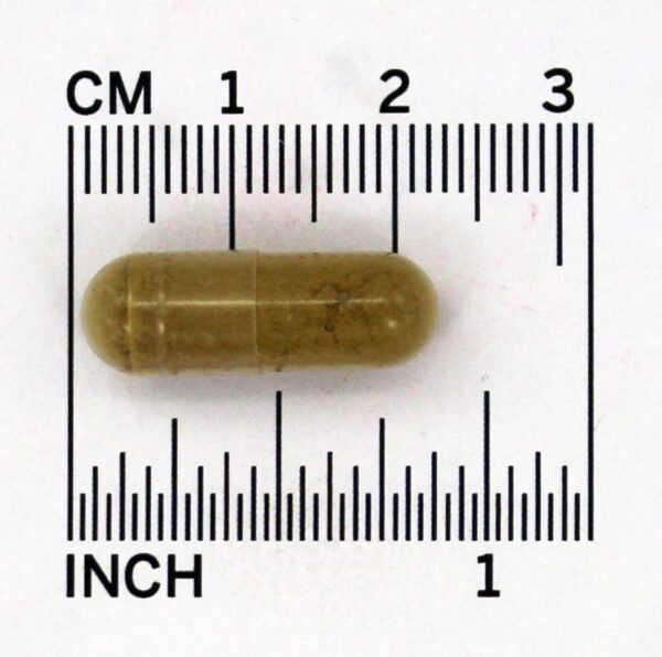 Comprar Damiana Deixa 400 mg. - Cápsulas vegetarianas 100 Nature's Way - Imagem 4
