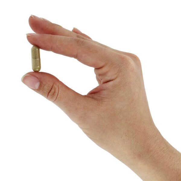 Comprar Damiana Deixa 400 mg. - Cápsulas vegetarianas 100 Nature's Way - Imagem 5