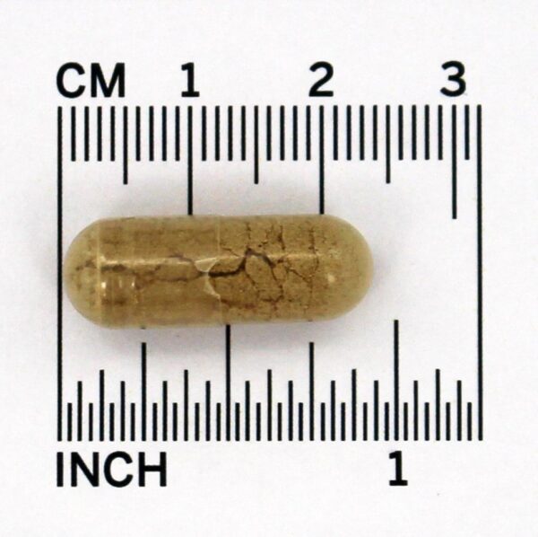 Comprar Raiz Dente-de-Leão 525 mg. - Cápsulas vegetarianas 100 Nature's Way - Imagem 4