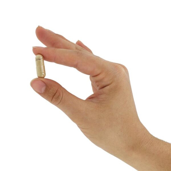 Comprar Raiz Dente-de-Leão 525 mg. - Cápsulas vegetarianas 100 Nature's Way - Imagem 5