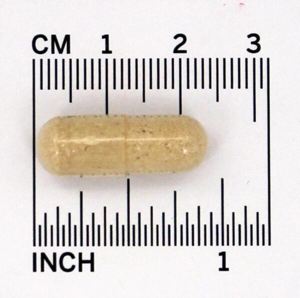 Comprar Casca de Elm escorregadio 400 mg. - Cápsulas vegetarianas 100 Nature's Way - Imagem 4