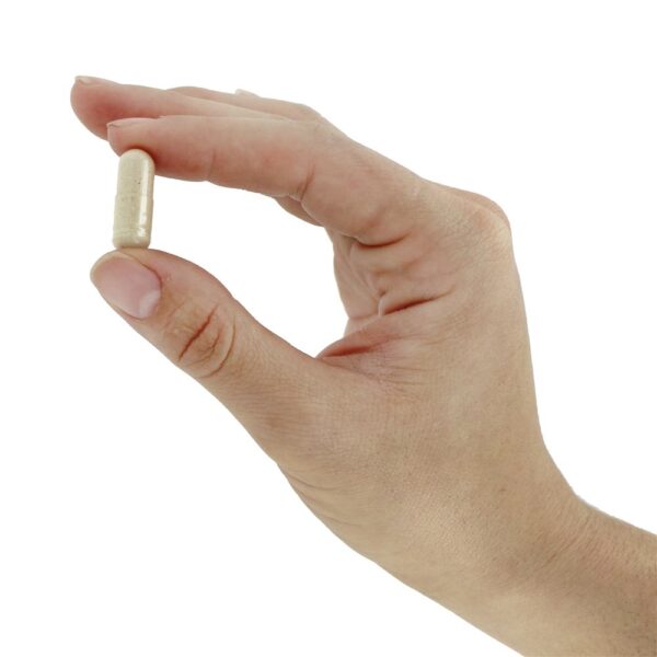 Comprar Casca de Elm escorregadio 400 mg. - Cápsulas vegetarianas 100 Nature's Way - Imagem 5